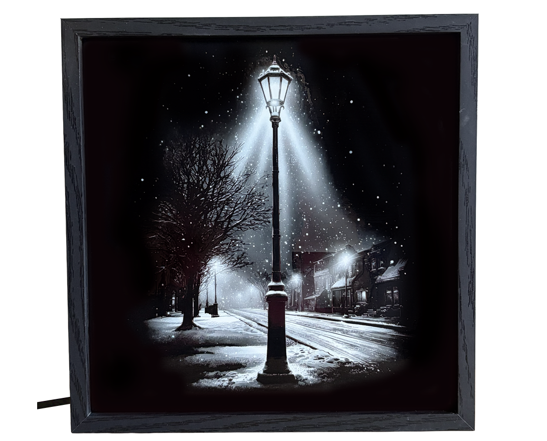 Snowy Street Lamp Night