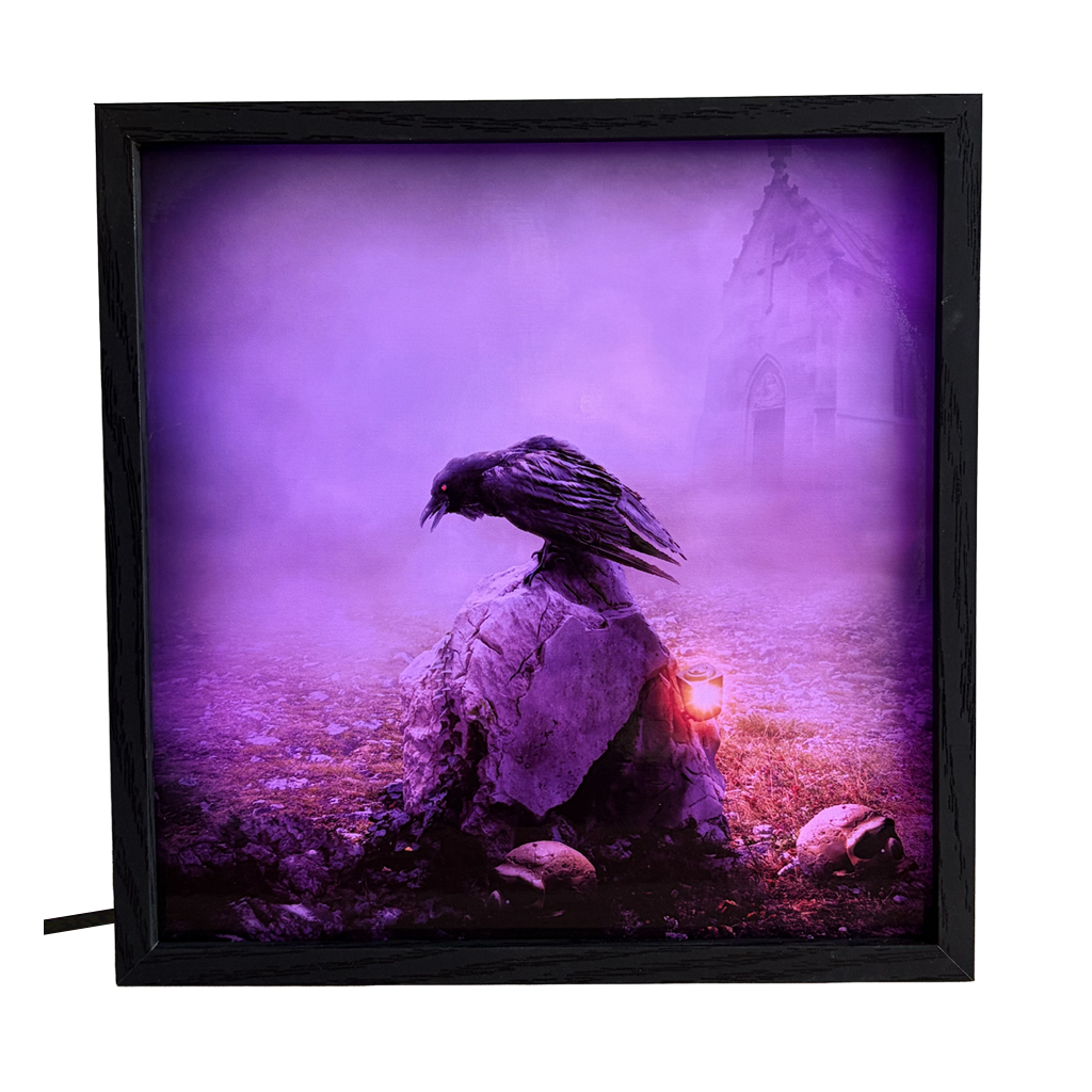 Gothic Dark Raven