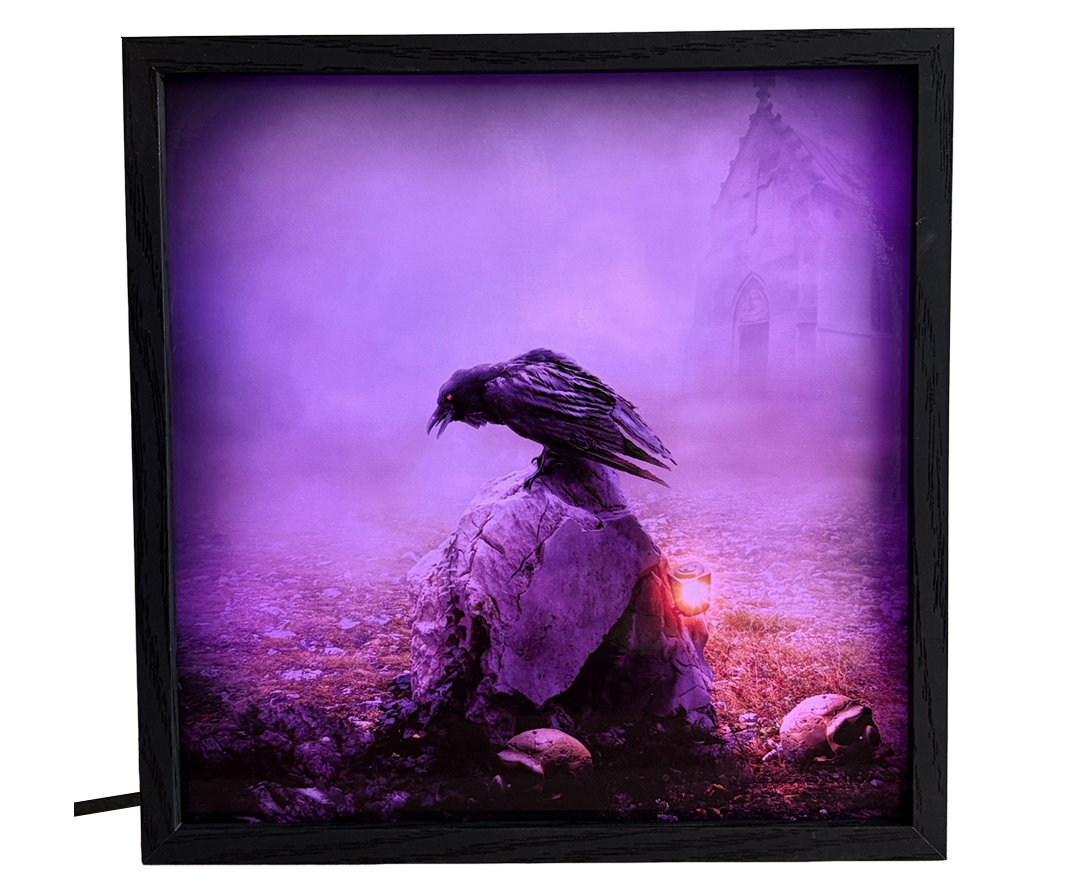 Gothic Dark Raven