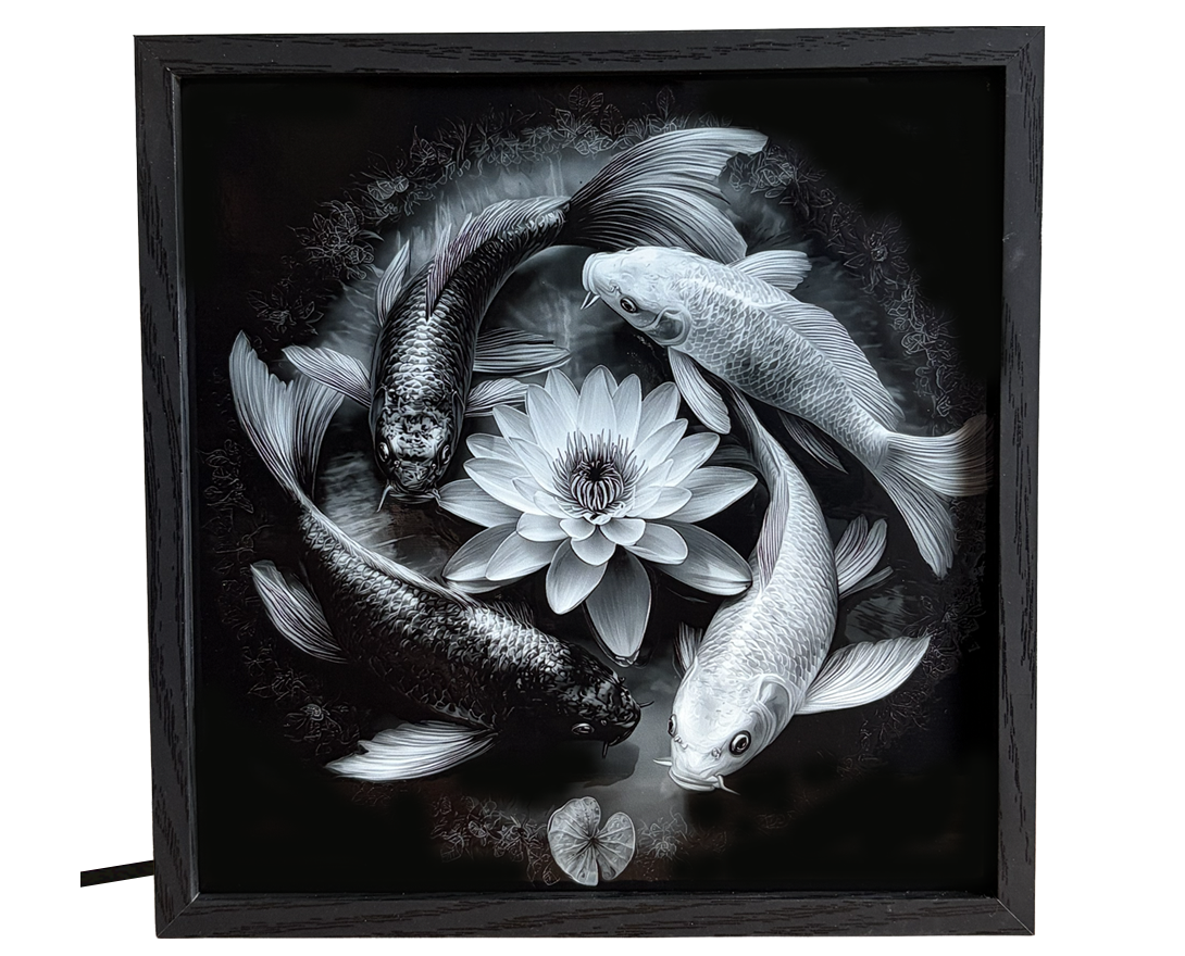 Zen Koi Pond & Lotus