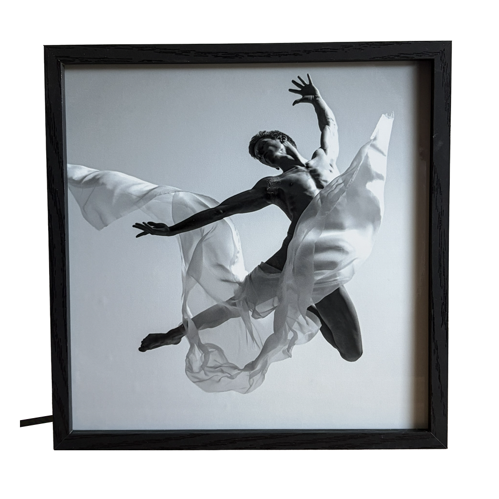 Graceful and Powerful Dancer