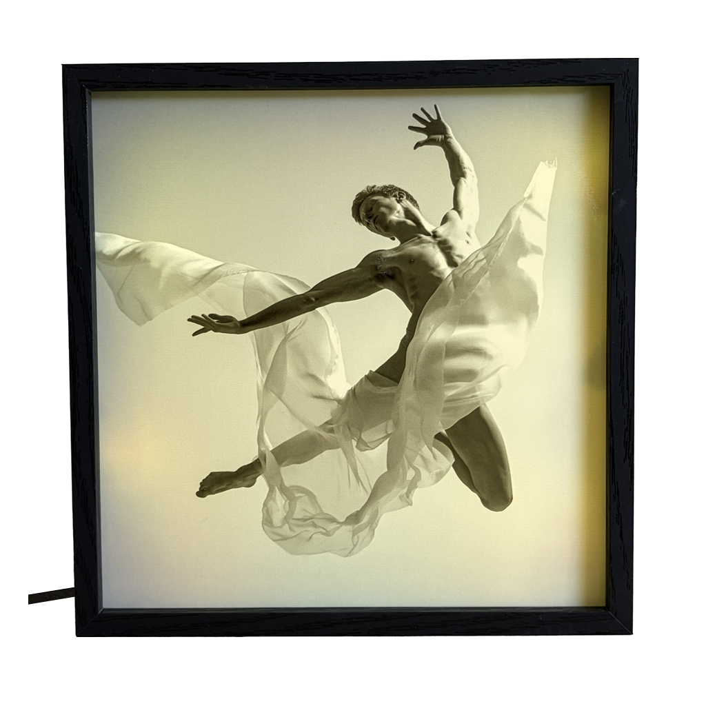Graceful and Powerful Dancer