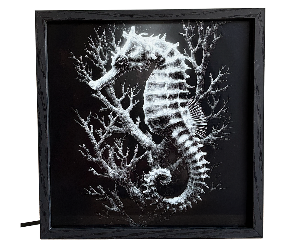Seahorse & Coral