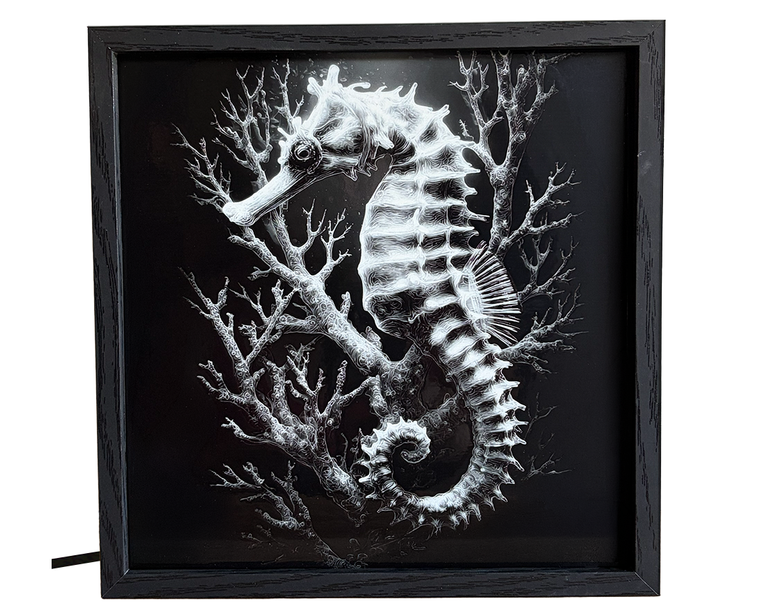 Seahorse & Coral
