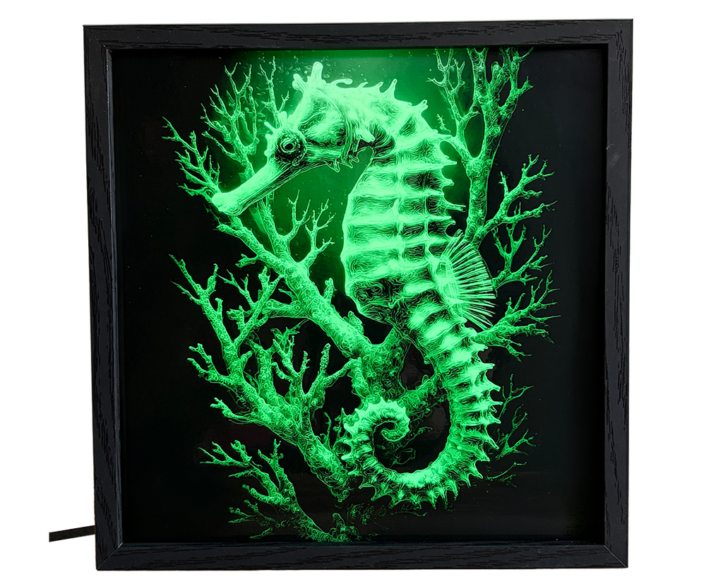 Seahorse & Coral