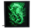 Seahorse & Coral