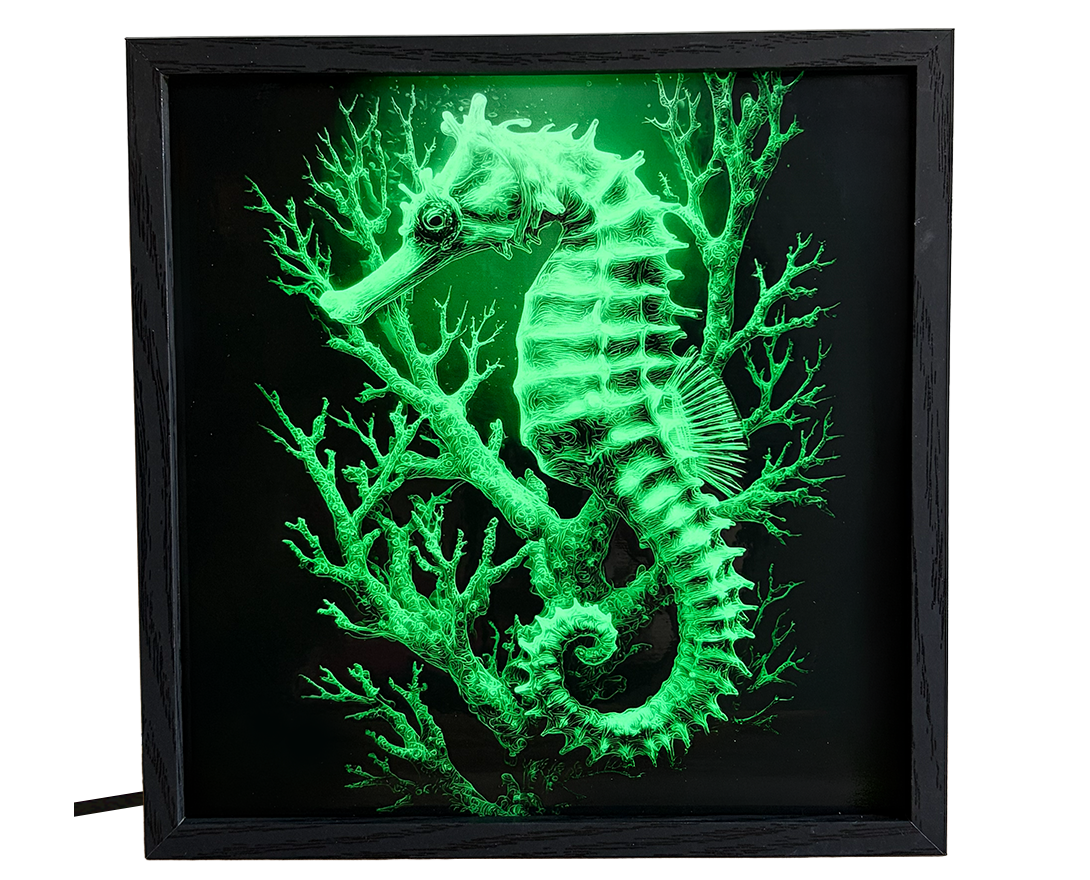 Seahorse & Coral