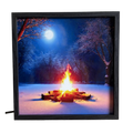 Winter Campfire Night