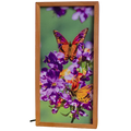 Butterflies on Flowers