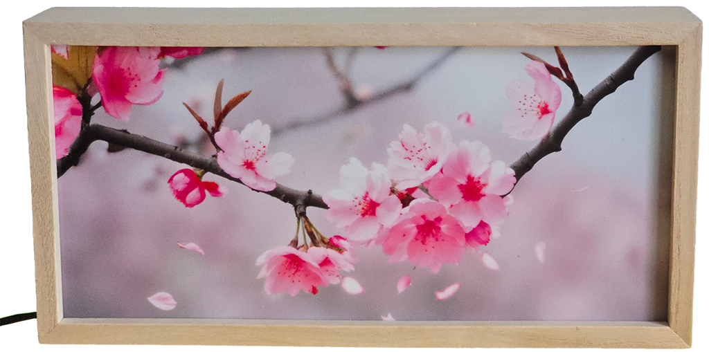 Cherry Blossom Branch