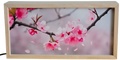 Cherry Blossom Branch