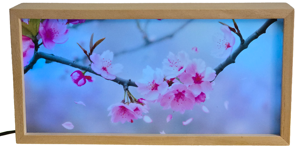 Cherry Blossom Branch