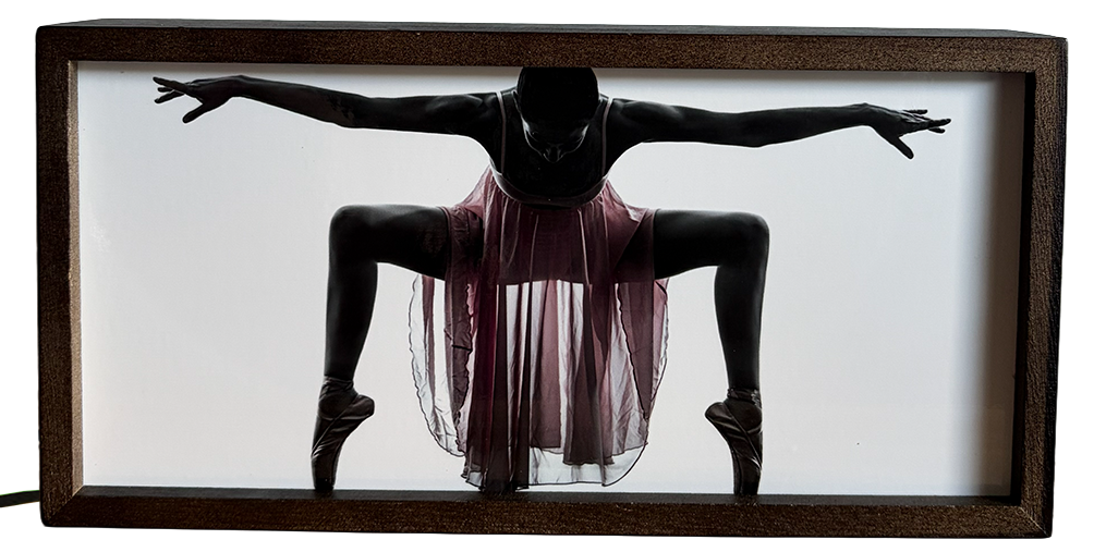 Dramatic Ballerina Silhouette