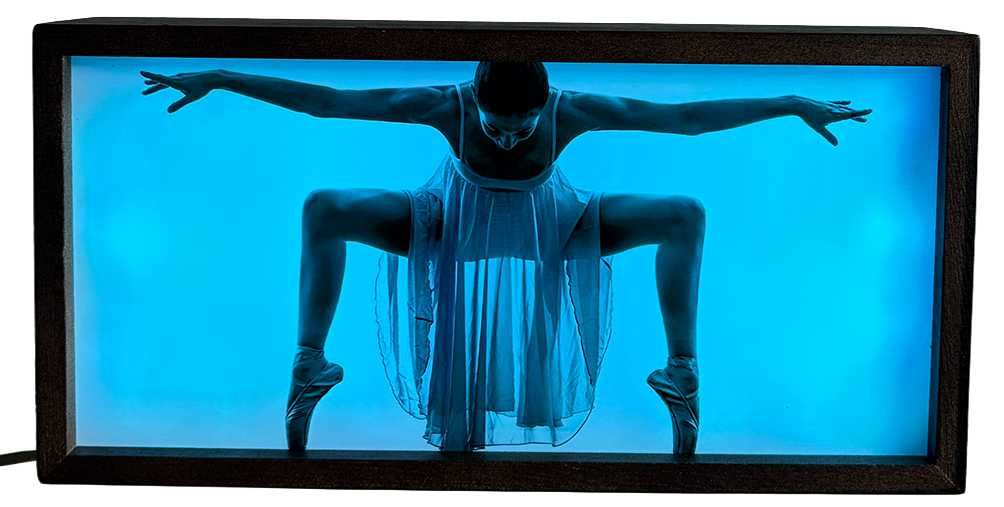 Dramatic Ballerina Silhouette