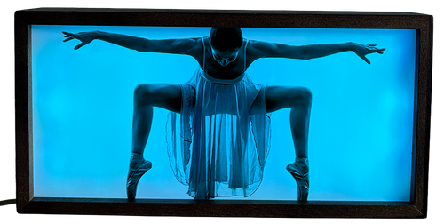 Dramatic Ballerina Silhouette