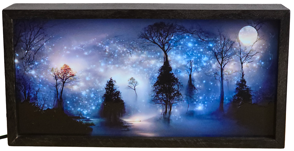 Enchanted Starry Night Forest