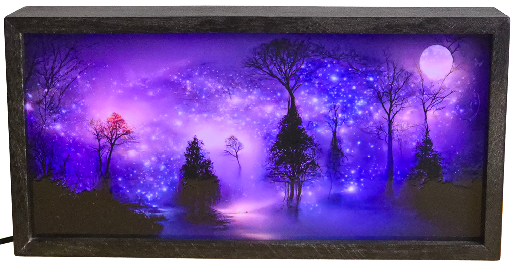 Enchanted Starry Night Forest