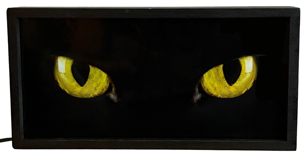 Yellow Cat Eyes