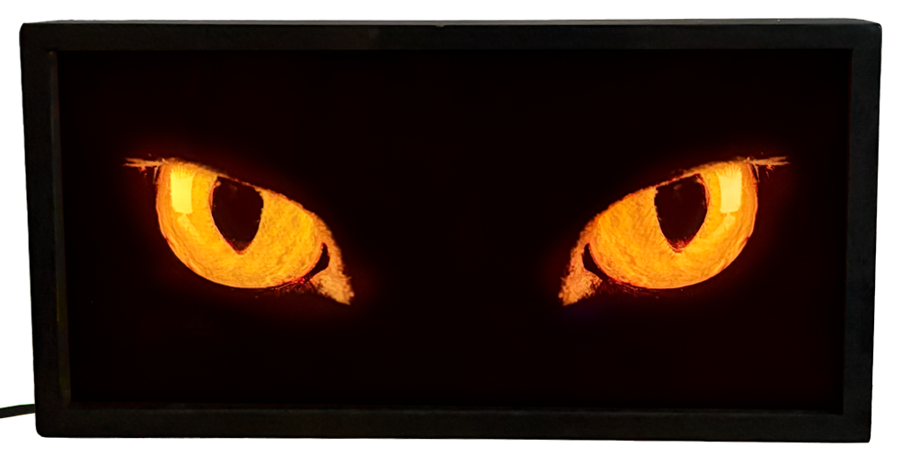 Yellow Cat Eyes