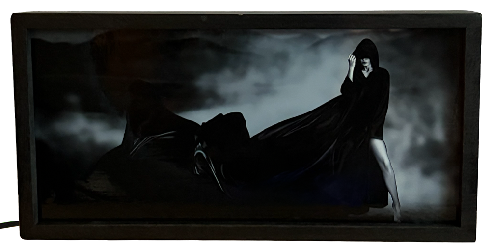 Hooded Lady in the Mist
