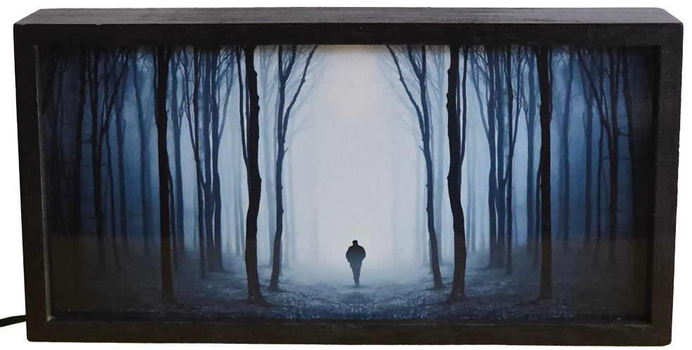 Mysterious Foggy Forest Path