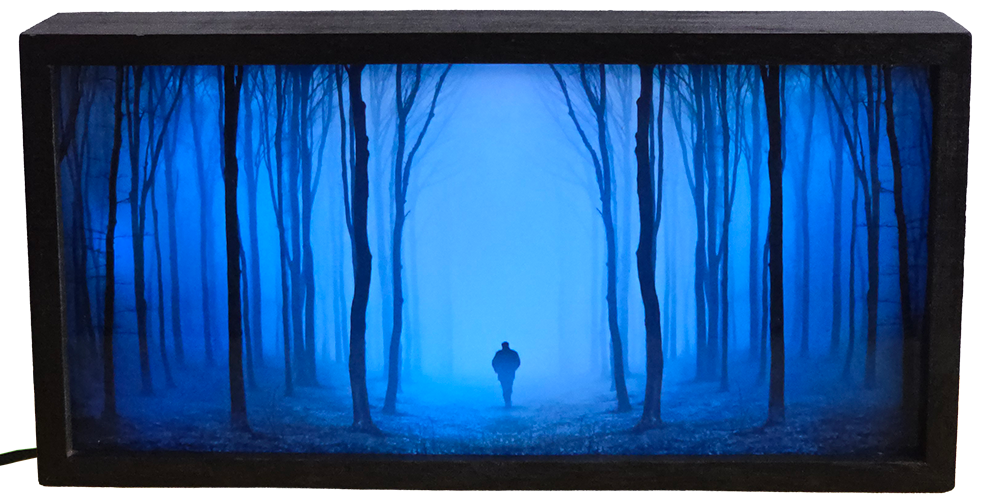 Mysterious Foggy Forest Path