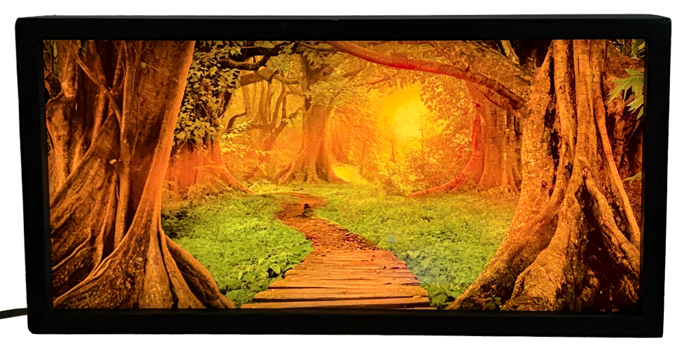 Enchanted Forest Path