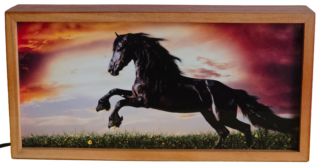 Galloping Black Horse at Sunset