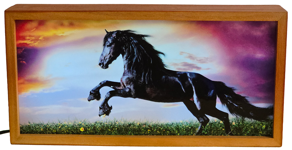 Galloping Black Horse at Sunset