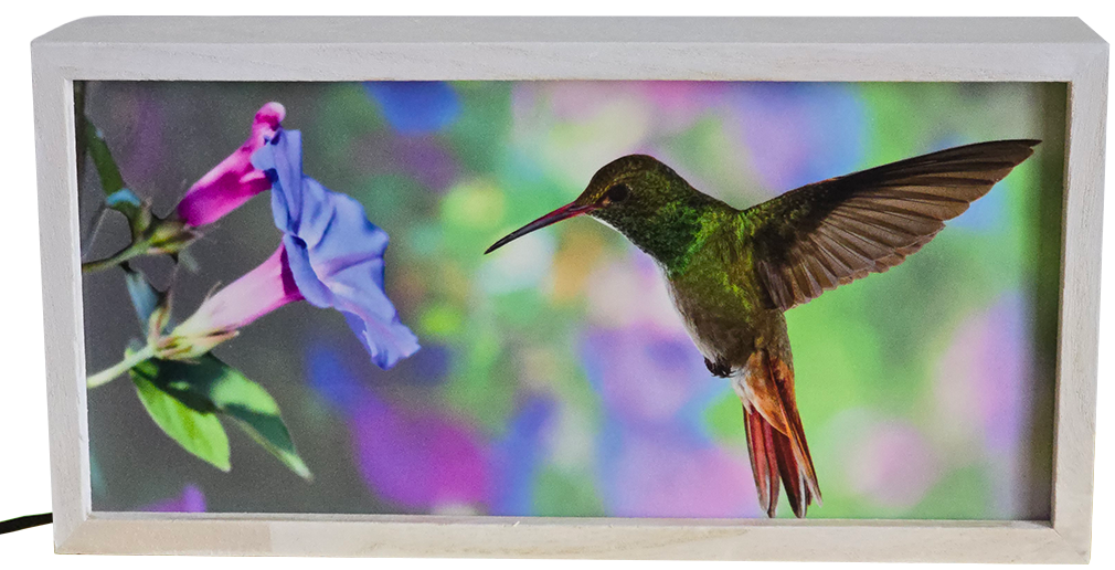 Hummingbird with Flowers