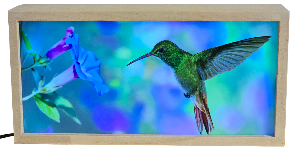 Hummingbird with Flowers