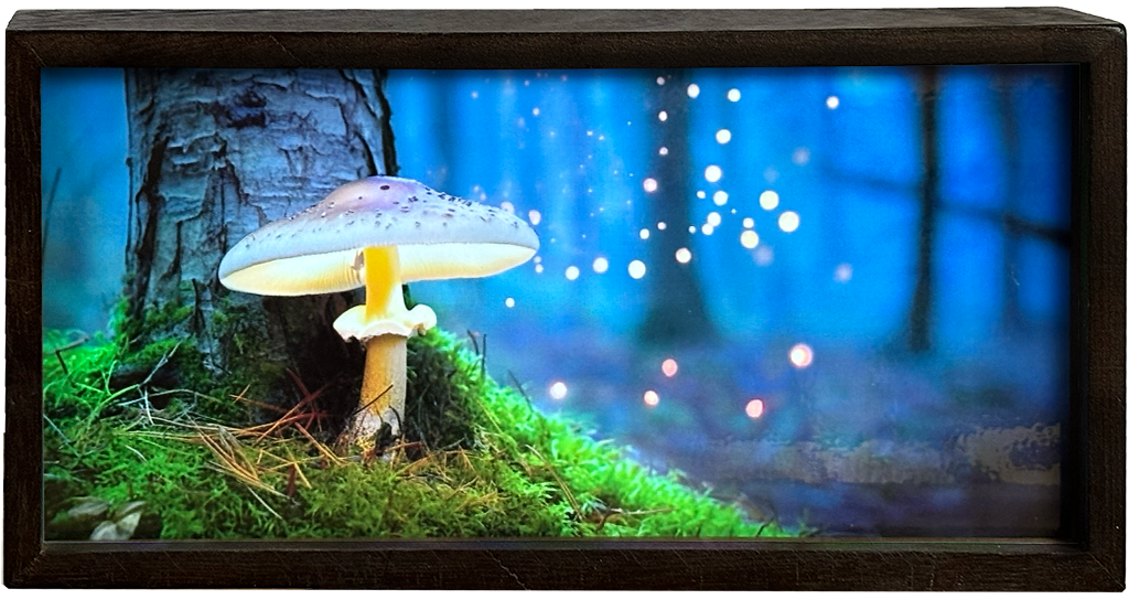 Mushroom in Enchanted Forest