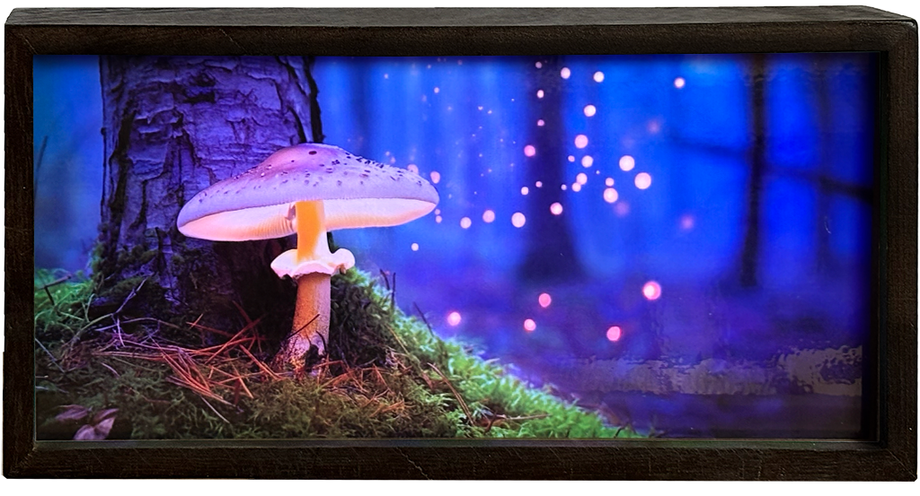 Mushroom in Enchanted Forest
