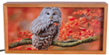 Owl on Autumn Branch