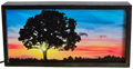 Lone Tree at Sunset