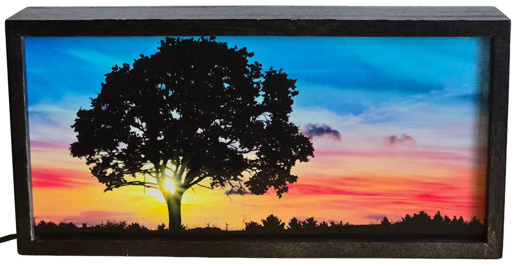 Lone Tree at Sunset