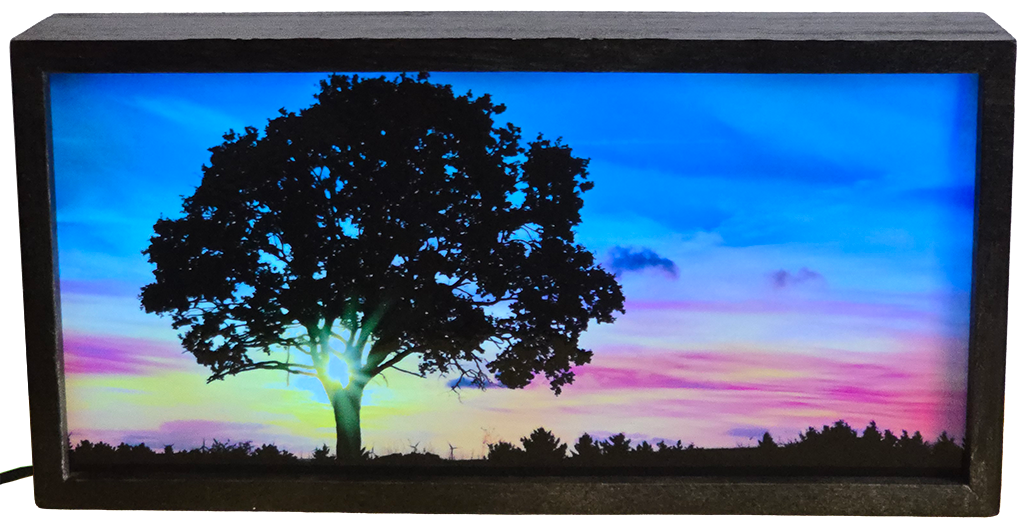 Lone Tree at Sunset