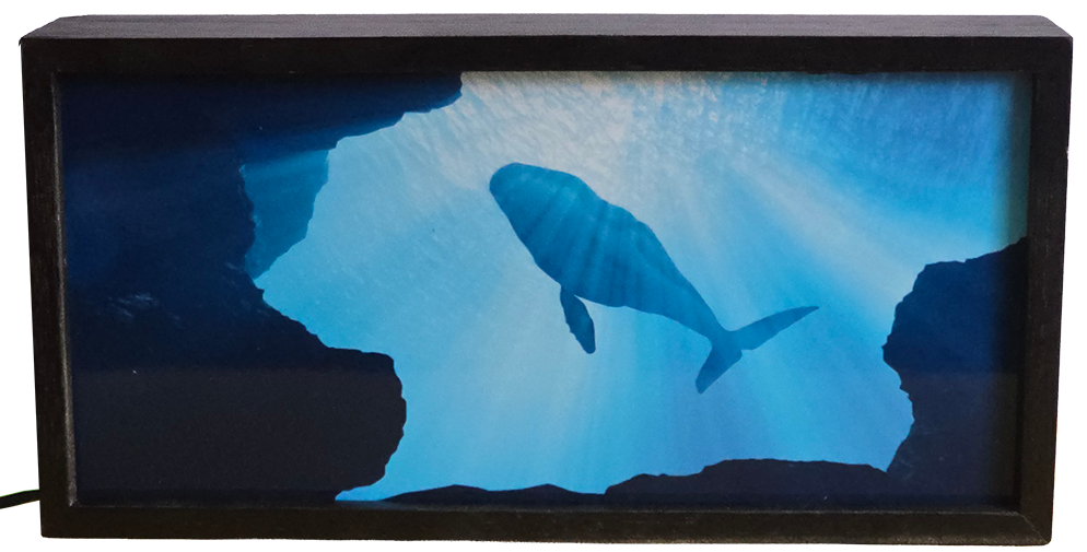 Majestic Whale in the Deep Blue