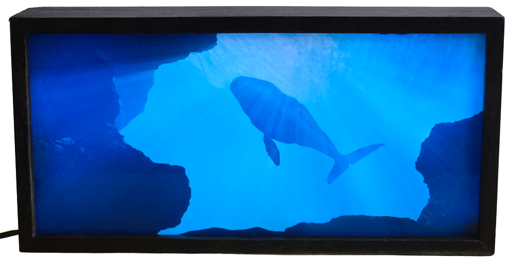 Majestic Whale in the Deep Blue