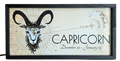 Zodiac Sign — Capricorn